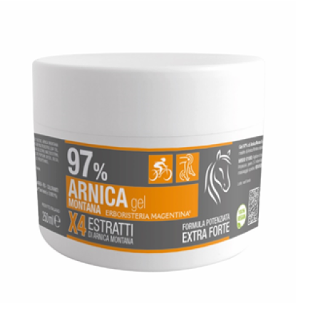 ARNICA 97% GEL 250ML ERB MAGENTI