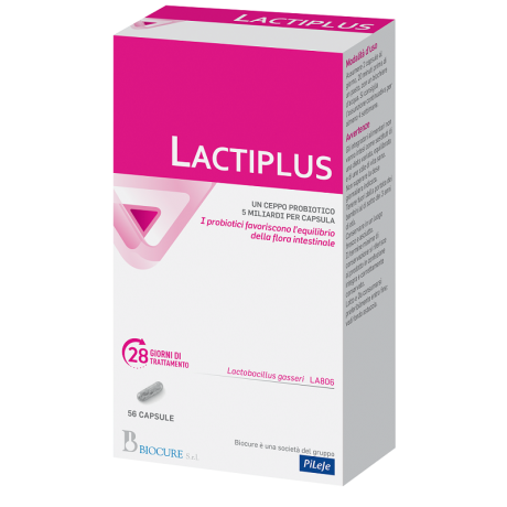 LACTIPLUS 56 Cps