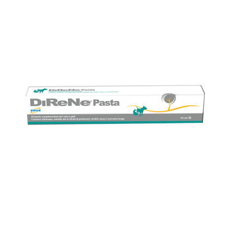 DIRENE Pasta 15ml