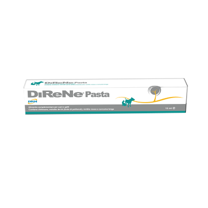 DIRENE Pasta 15ml