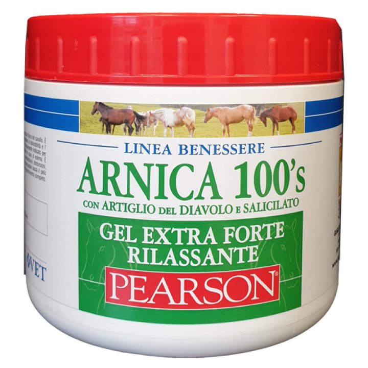 ARNICA 100'S GEL EX FT RILA500 ARNICA 100'S GEL EX FT RILA500