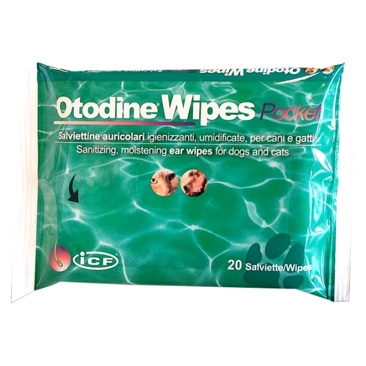 OTODINE WIPES POCKET 20 PEZZI