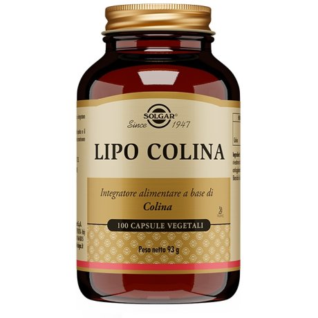 LIPO COLINA 100 Cps 100mgSOLGA