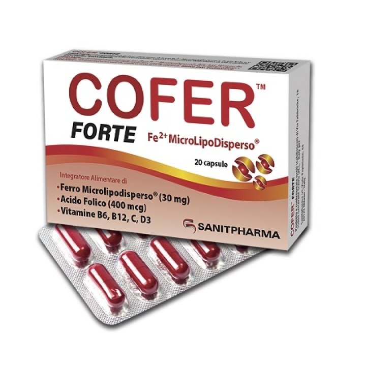 COFER Fte 20 Cps