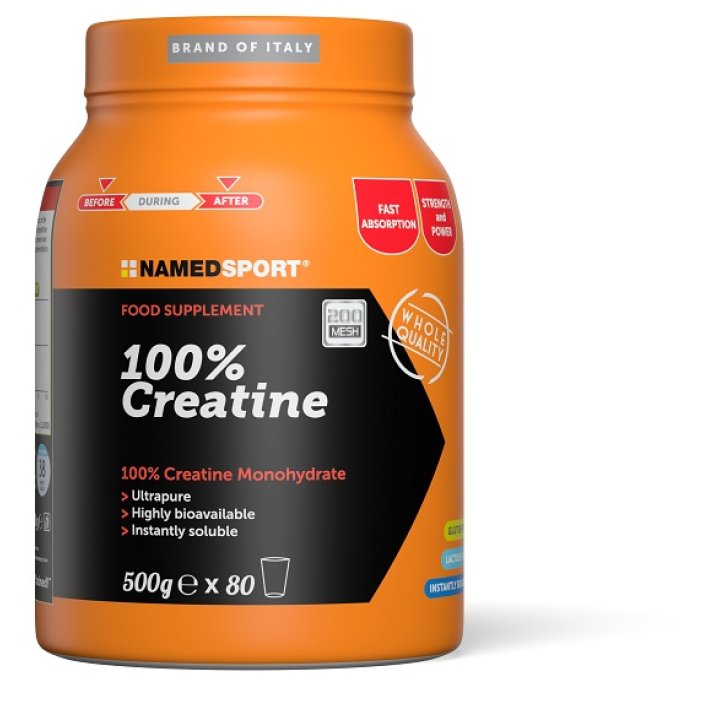 CREATINA 100% 500g NAMED