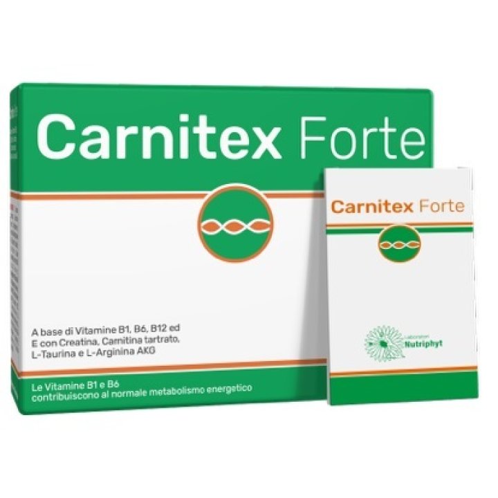 CARNITEX Forte 14 Bust.