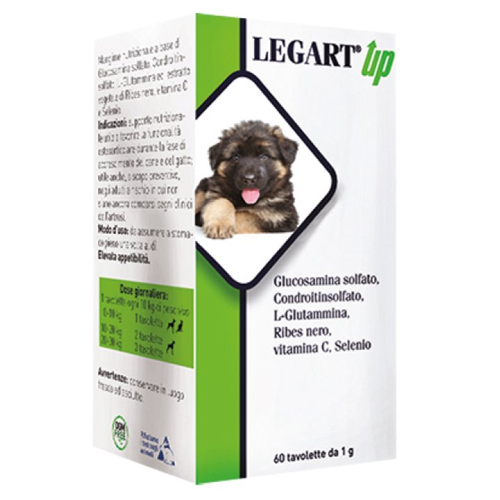 LEGART UP Vet. 60 Cpr