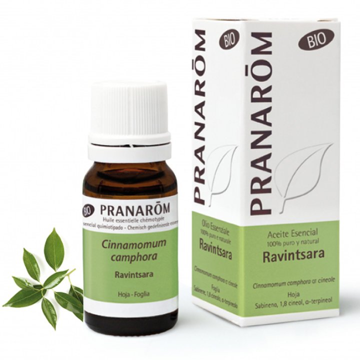 PRANAROM OE Ravintsara 10ml