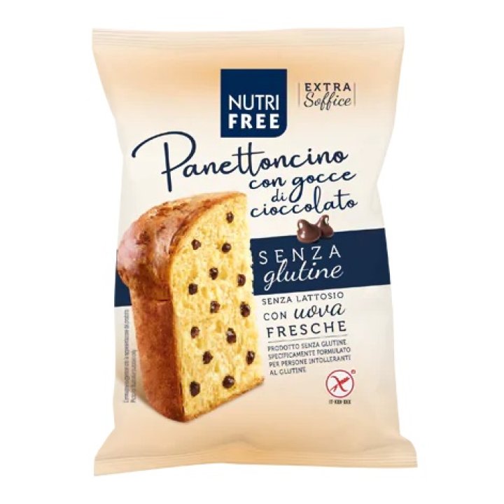 NUTRIFREE Panettonc.Ciocc.100g