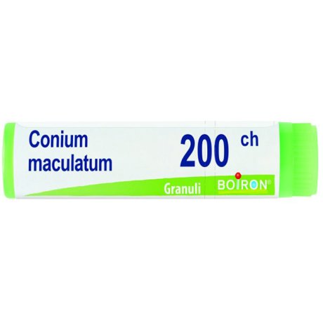 BO.CONIUM MACUL.Dose 200CH