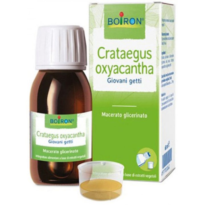 BO.CRATAEGUS OX. TM  60ml