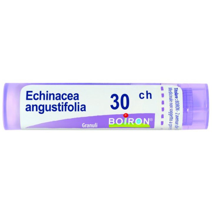 BO.ECHINACEA ANG.Tubo 30CH