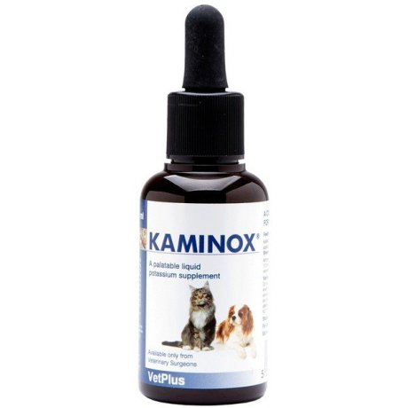 KAMINOX Sciroppo 60ml