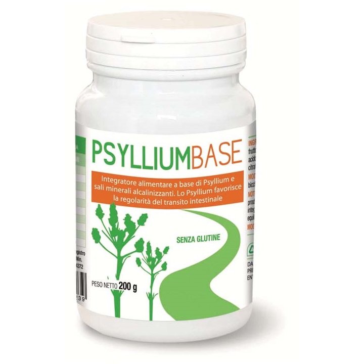 PSYLLIUM BASE Polv.200g