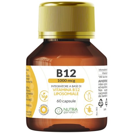 VITAMINA B12 1000MCG 60CPS VITAMINA B12 1000MCG 60CPS