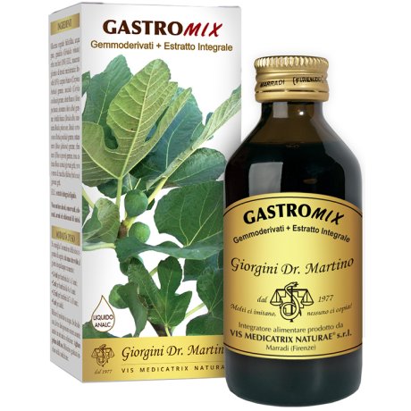 GASTROMIX Liq.Analc.200ml SVS