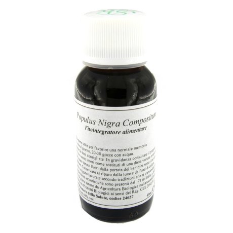 LVS 43N Populus Nigra Comp.