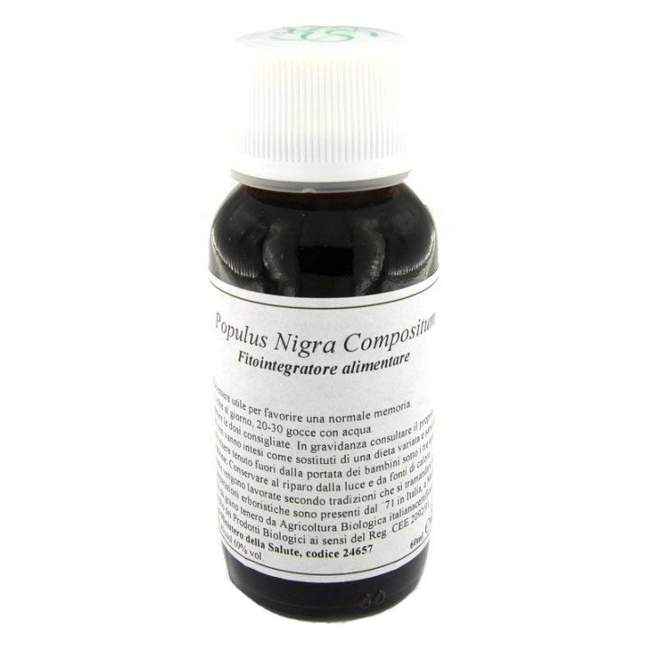 LVS 43N Populus Nigra Comp.