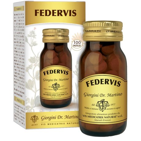 FEDERVIS 100*Past.500mg