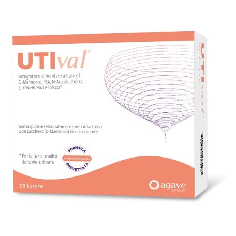 UTIVAL 28 Bust.