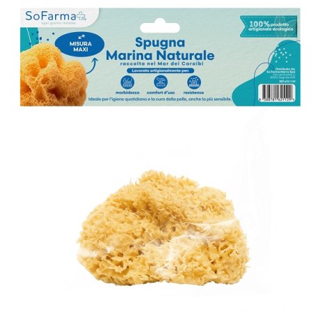 SPUGNA MARINA NATURALE MAXI SF+