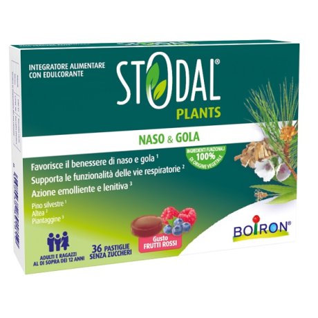 STODAL Plants 36 Past.Fr.Rossi STODAL Plants 36 Past.Fr.Rossi