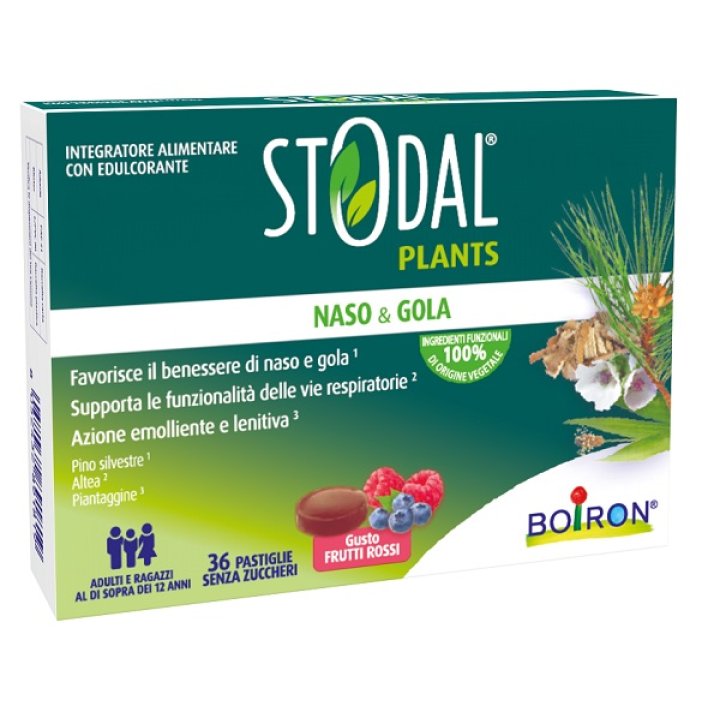 STODAL Plants 36 Past.Fr.Rossi